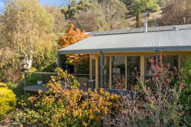 House For Sale - VIC - Trawool - 3660 - A RARE LITTLE TREASURE IN THE TRAWOOL VALLEY  (Image 2)