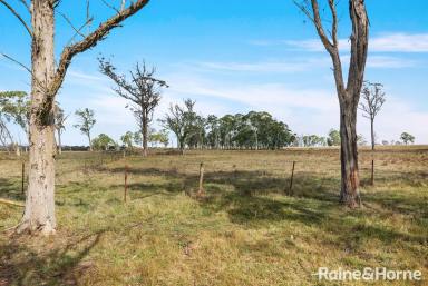 Residential Block For Sale - NSW - Mandemar - 2575 - Exceptional 185-Acre Dual-Title Landholding  (Image 2)