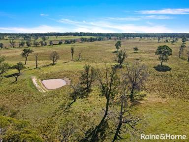 Residential Block For Sale - NSW - Mandemar - 2575 - Exceptional 185-Acre Dual-Title Landholding  (Image 2)