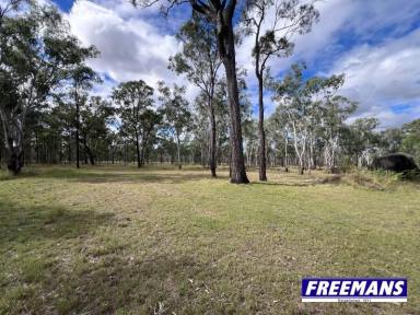 Residential Block For Sale - QLD - Ballogie - 4610 - 43 acres, quiet Cul-De-Sac  (Image 2)