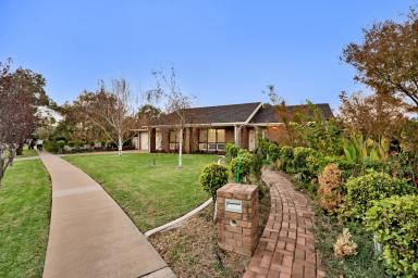 House For Sale - VIC - Mildura - 3500 - Elegantly Renovated Charm in Prime Mildura Locale  (Image 2)
