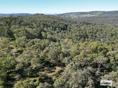 Residential Block For Sale - QLD - Tallegalla - 4340 - Rare Opportunity – 48.54 Ha (119.94 Acres) in Highly Sought-After Tallegalla  (Image 2)