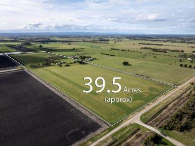 Other (Rural) For Sale - VIC - Koo Wee Rup - 3981 - PRIME CROPPING LAND - LIFESTYLE OR LANBANK OPPORTUNITY.  (Image 2)