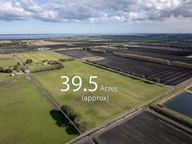 Other (Rural) For Sale - VIC - Koo Wee Rup - 3981 - PRIME CROPPING LAND - LIFESTYLE OR LANBANK OPPORTUNITY.  (Image 2)