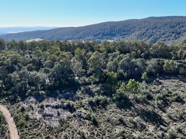 Residential Block For Sale - TAS - Golden Valley - 7304 - Large Development Block!  (Image 2)