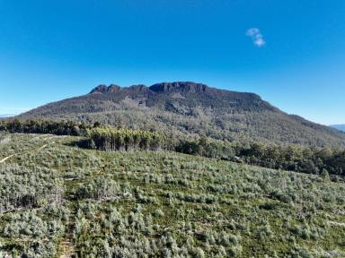 Residential Block For Sale - TAS - Golden Valley - 7304 - Large Development Block!  (Image 2)