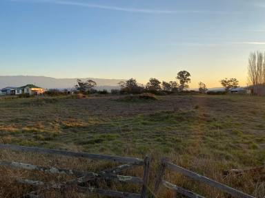 Residential Block For Sale - TAS - Chudleigh - 7304 - Enjoy the peaceful charm of rural living  (Image 2)