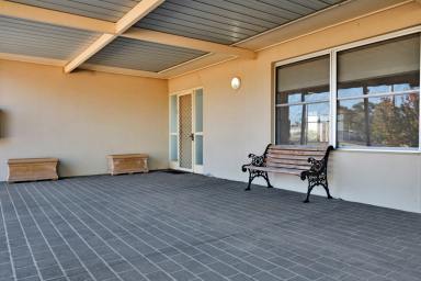 House For Sale - NSW - Euston - 2737 - Charming Brick Veneer Home with Expansive Outdoor Entertaining  (Image 2)