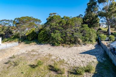 Residential Block For Sale - TAS - Coles Bay - 7215 - Elevated Opportunity in Coles Bay  (Image 2)
