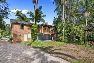 House For Sale - QLD - Cooroy - 4563 - Rare Opportunity Potential - Adjoining Sites Zoned Medium Impact  (Image 2)