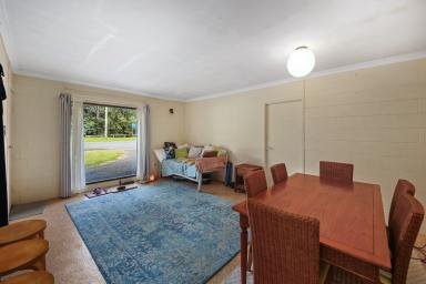 House For Sale - QLD - Cooroy - 4563 - Adjoining sites zoned medium impact - buy one or buy both  (Image 2)