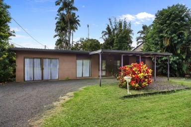 House For Sale - QLD - Cooroy - 4563 - Adjoining sites zoned medium impact - buy one or buy both  (Image 2)