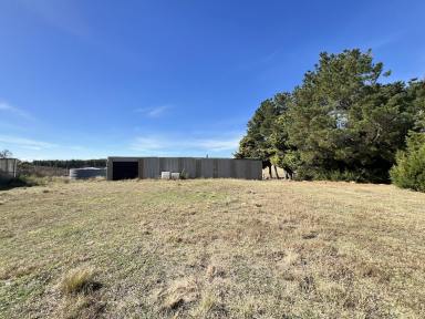 Lifestyle For Sale - NSW - Windellama - 2580 - Peace and Tranquility, 80 Acres, 2 BR Cottage, Views, Pine Trees, Creek, Dams  (Image 2)
