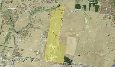 Lifestyle Sold - NSW - Windellama - 2580 - Peace, Privacy & Pines – 84 Acres with Cottage, Creek, Dams & Sheds  (Image 2)