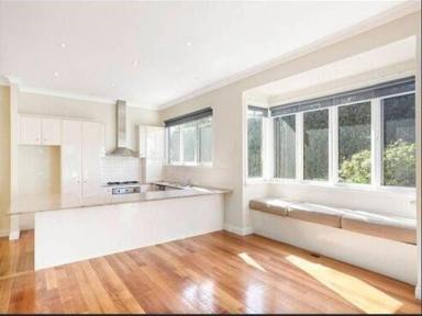 House Leased - VIC - Bentleigh - 3204 - Large 5-bed House only 100m to Bentleigh station and Centre rd cafes! (Image 2)