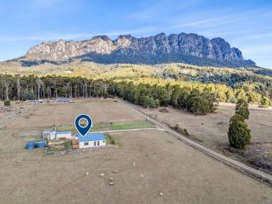 House For Sale - TAS - Claude Road - 7306 - What a view!  (Image 2)