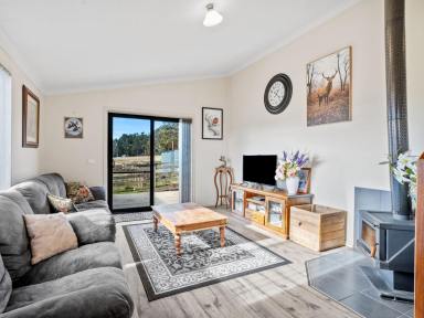 House For Sale - TAS - Claude Road - 7306 - What a view!  (Image 2)