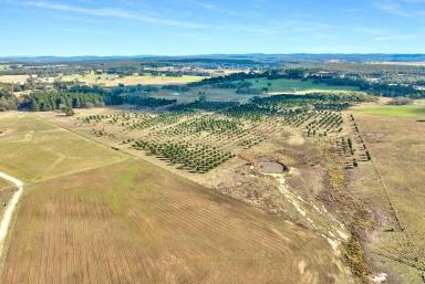 Other (Rural) For Sale - NSW - Windellama - 2580 - 110 Acres | Creek Frontage, Dwelling Entitlement & Stunning Views (Image 2)