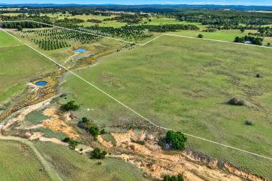 Other (Rural) For Sale - NSW - Windellama - 2580 - Creek Frontage, 110 Acres, Dwelling Entitlement & Stunning Views (Image 2)
