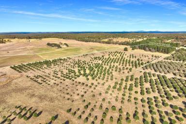 Other (Rural) For Sale - NSW - Windellama - 2580 - 110 Acres | Running Creek,  Dwelling Entitlement, Power, Views.  (Image 2)