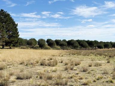 Other (Rural) For Sale - NSW - Windellama - 2580 - SPECTACULAR 110 ACRE PROPERTY, BUILD YOUR HOME, CREEK FRONTAGE, GRAZING & VIEWS  (Image 2)