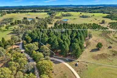 Other (Rural) For Sale - NSW - Windellama - 2580 - Creek Frontage, 110 Acres, Dwelling Entitlement & Stunning Views (Image 2)