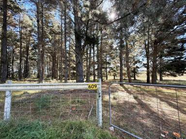 Other (Rural) For Sale - NSW - Windellama - 2580 - SPECTACULAR 110 ACRE PROPERTY, DWELLING ENTITLEMENT, CREEK , GRAZING, VIEWS  (Image 2)