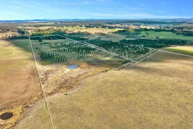 Other (Rural) For Sale - NSW - Windellama - 2580 - 110 Acres | Creek Frontage, Dwelling Entitlement & Stunning Views  (Image 2)