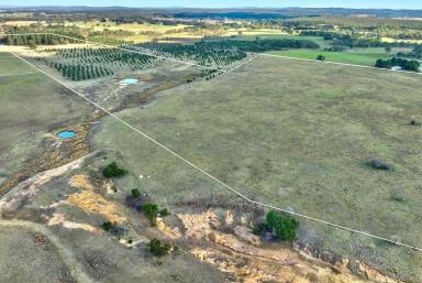 Other (Rural) For Sale - NSW - Windellama - 2580 - 110 Acres | Creek Frontage, Dwelling Entitlement & Stunning Views  (Image 2)