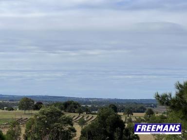 Acreage/Semi-rural For Sale - QLD - Benair - 4610 - Abundance of water 55.62ha and views 15 minutes to Kingaroy  (Image 2)