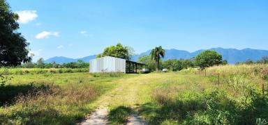 Residential Block For Sale - QLD - Kennedy - 4816 - Rural Land Kennedy Valley 53.94 acres Versatile acreage  (Image 2)