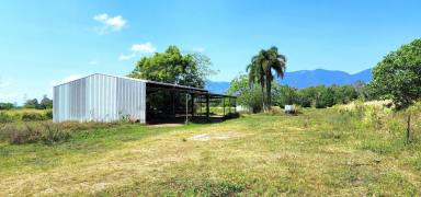 Residential Block For Sale - QLD - Kennedy - 4816 - Rural Land Kennedy Valley 53.94 acres Versatile acreage  (Image 2)