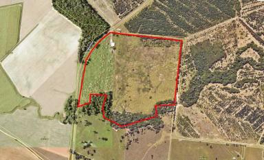 Residential Block For Sale - QLD - Kennedy - 4816 - Rare 53.94-Acre Lifestyle Opportunity — Minutes from Town & Marina (Image 2)