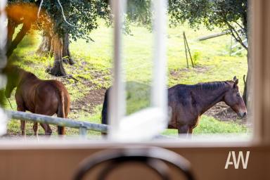 Other (Rural) For Sale - QLD - Kenilworth - 4574 - FAMILY ESCAPE MEETS SMART INVESTMENT  (Image 2)