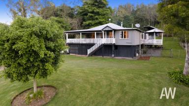 Other (Rural) For Sale - QLD - Kenilworth - 4574 - DREAMY HINTERLAND HIDEAWAY:  YOUR COUNTRY ESCAPE  (Image 2)
