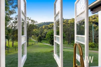 Other (Rural) For Sale - QLD - Kenilworth - 4574 - DREAMY HINTERLAND HIDEAWAY:  YOUR COUNTRY ESCAPE  (Image 2)