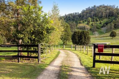 Other (Rural) For Sale - QLD - Kenilworth - 4574 - DREAMY HINTERLAND HIDEAWAY:  YOUR COUNTRY ESCAPE  (Image 2)