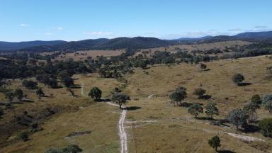 Mixed Farming For Sale - NSW - Tenterfield - 2372 - NORTHERN TABLELANDS OASIS - 328 ACRES  (Image 2)