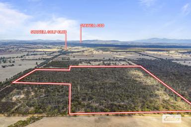 Residential Block For Sale - VIC - Stawell - 3380 - Ideal Lifestyle Building Block for Nature Lovers - 150 Acres  (Image 2)