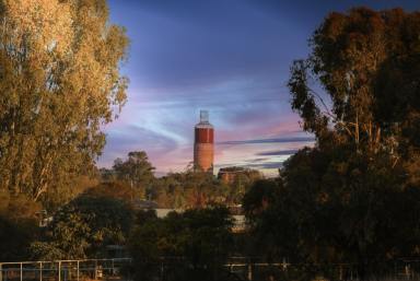 Residential Block For Sale - VIC - Rutherglen - 3685 - A Country Lifestyle on the Fringe of Town  (Image 2)