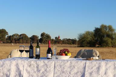 Residential Block For Sale - VIC - Rutherglen - 3685 - A Country Lifestyle on the Fringe of Town  (Image 2)