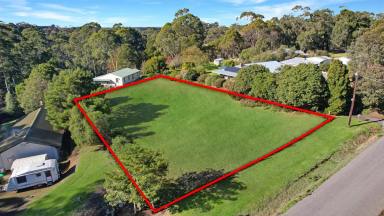 Residential Block For Sale - VIC - Timboon - 3268 - Impressive building block  (Image 2)