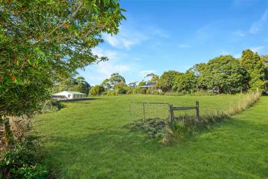 Residential Block For Sale - VIC - Timboon - 3268 - Impressive building block  (Image 2)