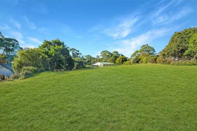 Residential Block For Sale - VIC - Timboon - 3268 - Impressive building block  (Image 2)