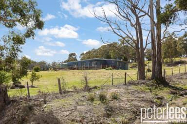 House For Sale - TAS - Liffey - 7301 - Escape to Your Own Off-Grid Lifestyle in Liffey  (Image 2)