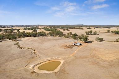 Mixed Farming For Sale - VIC - Kimbolton - 3551 - Expression of Interest closes Thursday 4th July, 2025 at 12pm (unless sold prior)  (Image 2)