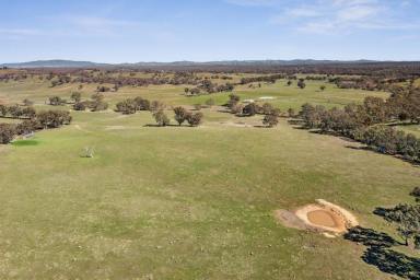 Mixed Farming For Sale - VIC - Kimbolton - 3551 - Kimbolton/Eppalock district - 1,509 Acres  (Image 2)
