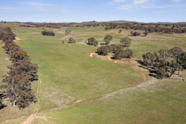 Mixed Farming For Sale - VIC - Kimbolton - 3551 - Kimbolton/Eppalock district - 1,509 Acres  (Image 2)
