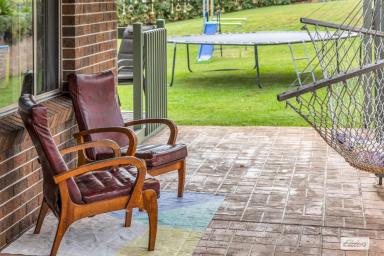Acreage/Semi-rural For Sale - NSW - Wyndham - 2550 - A Family Paradise on Rural Acreage  (Image 2)