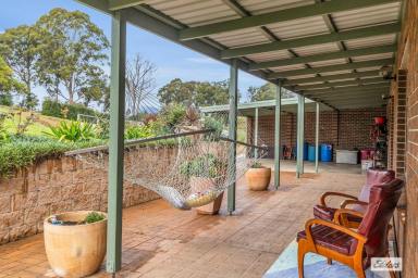 Acreage/Semi-rural For Sale - NSW - Wyndham - 2550 - A Family Paradise on Rural Acreage  (Image 2)